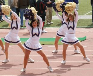 washington huskies cheerleaders in